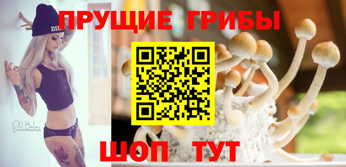 Галлюциногенные грибы GOLDEN TEACHER  Галлюциногенные грибы мицелий  Вход с VPN  Майкоп 