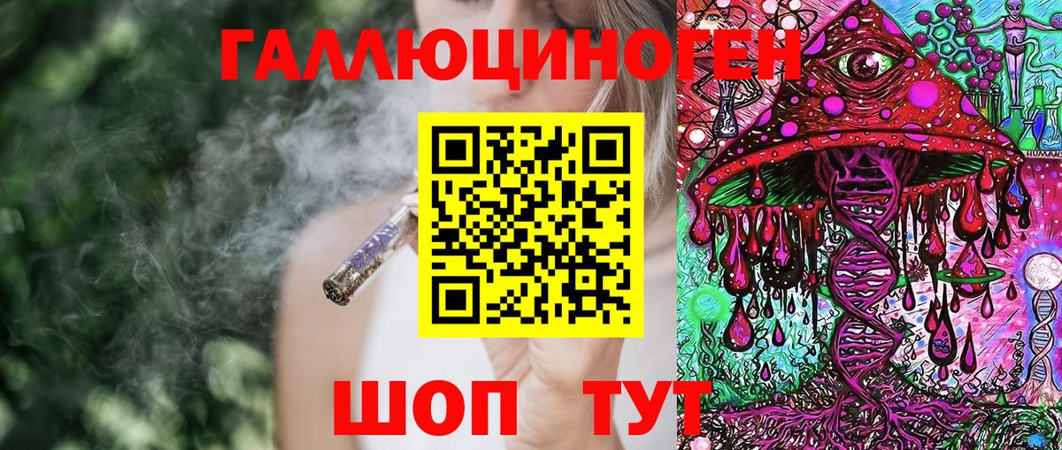 Псилоцибиновые грибы Psilocybe Майкоп
